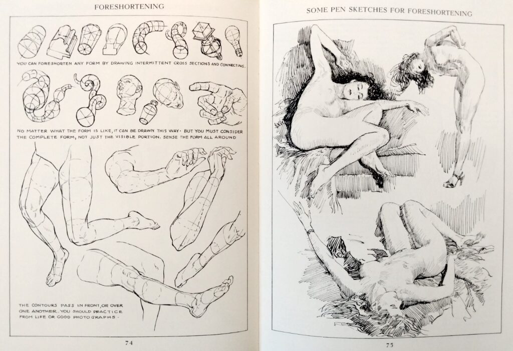 andrew loomis foreshortening lesson