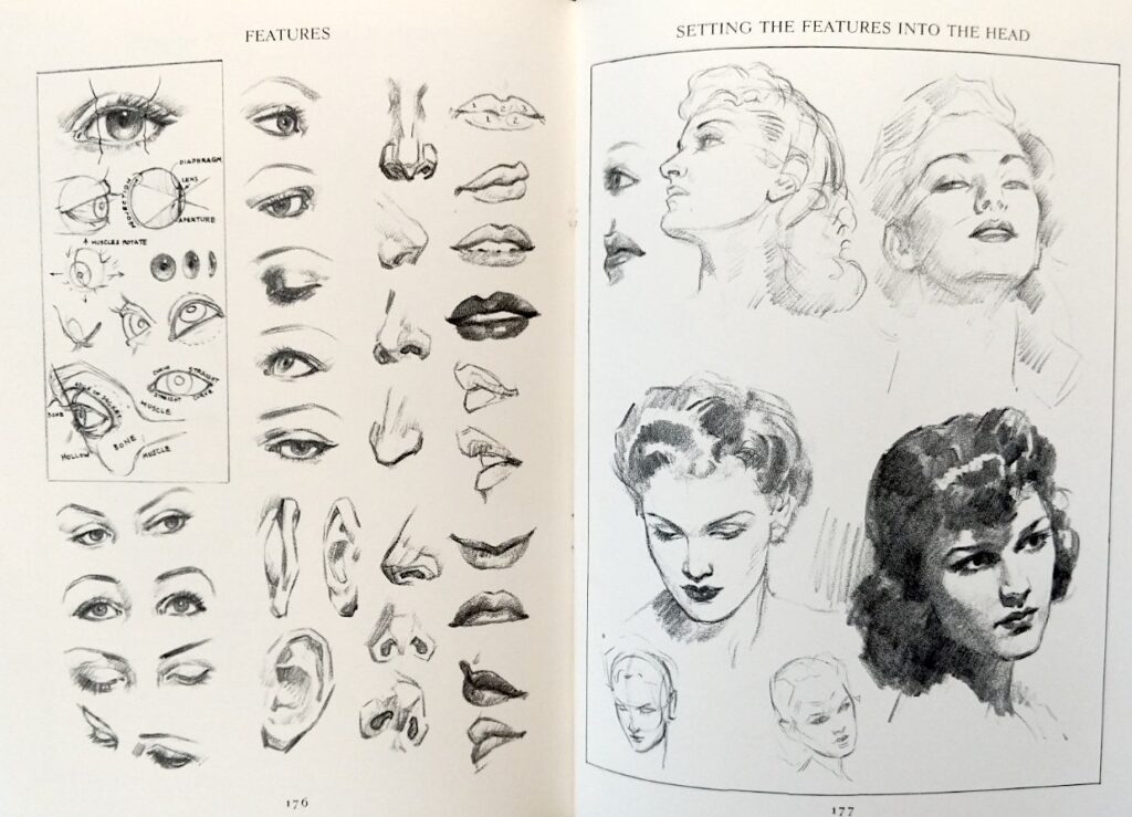 Reviewed - Figure Drawing for All it's Worth by Andrew Loomis 