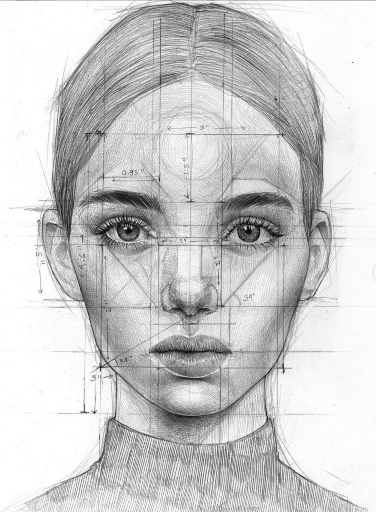 efrain malo proportions of face structure pencil sketch art