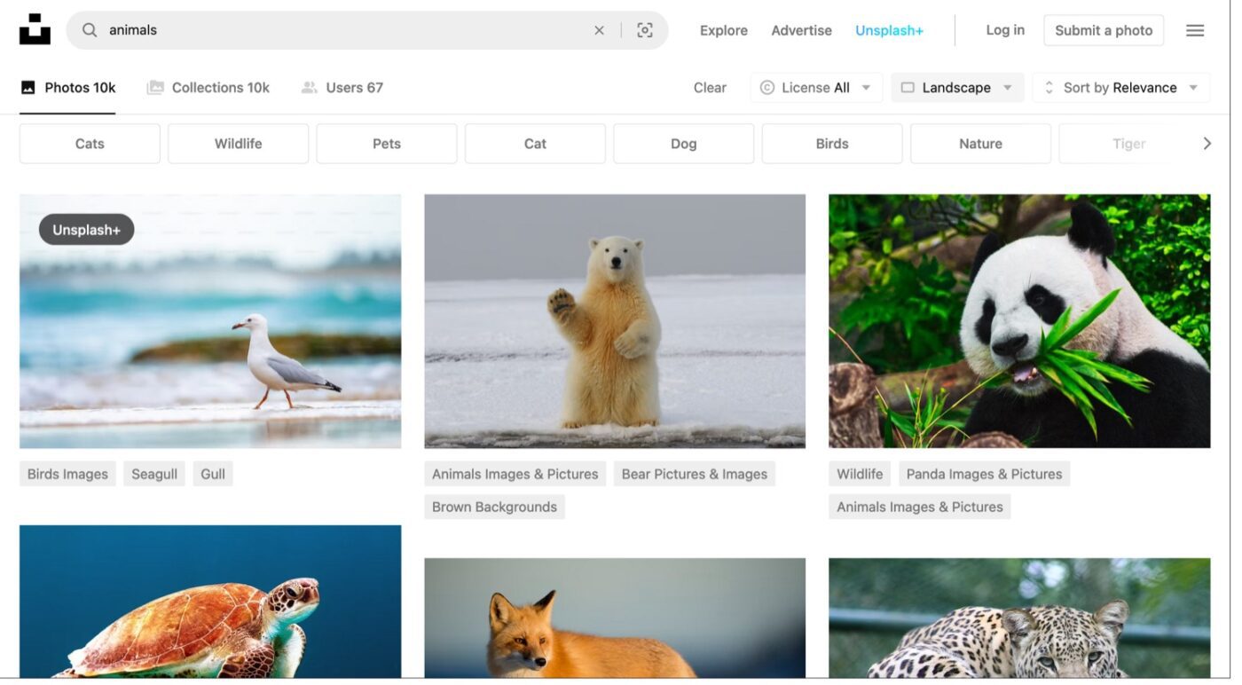 The Best Animal Reference Sources for Artists » Mega Pencil