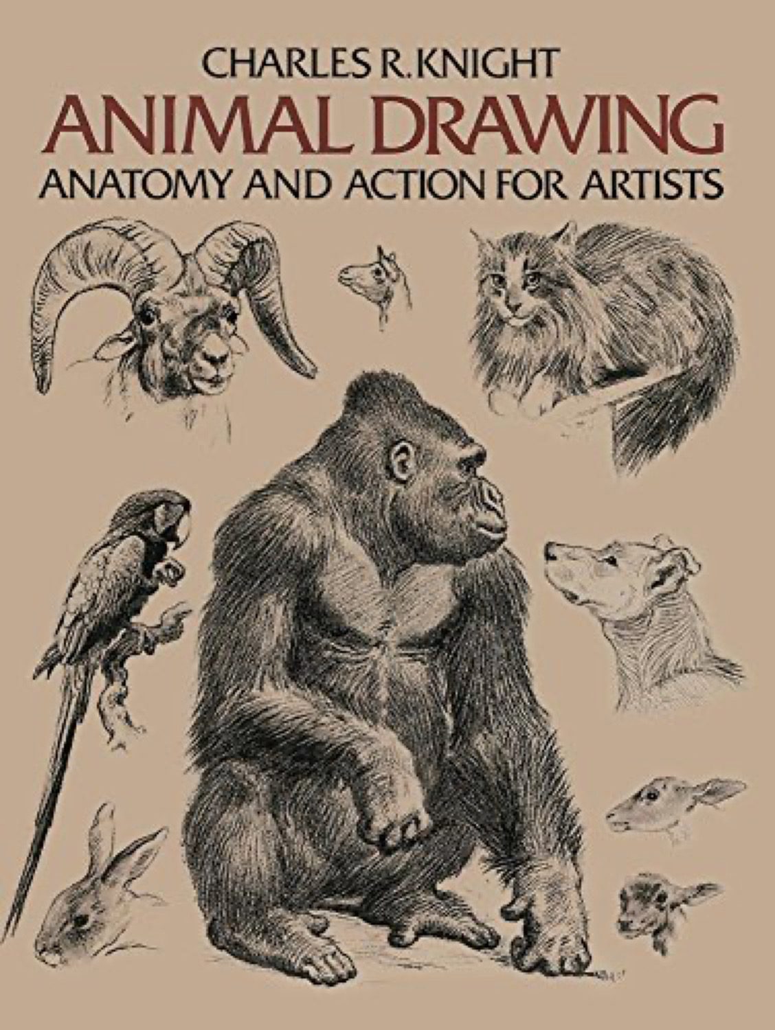 The Best Animal Reference Sources for Artists » Mega Pencil