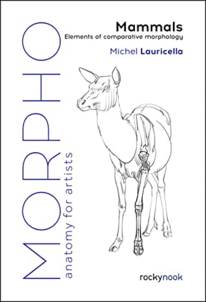 morpho animal reference book
