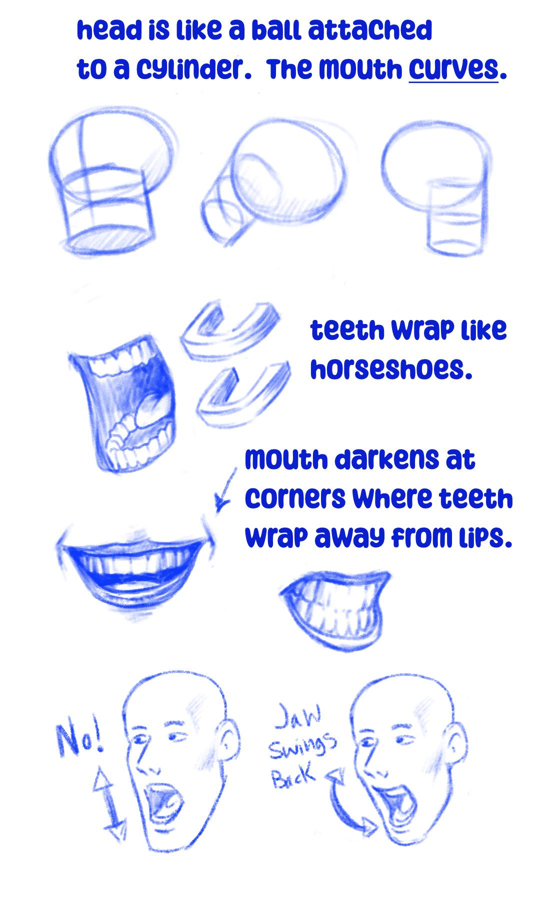 anatomy of mouth sketches